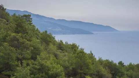 Mountain slopes with pine forest against the background of the Mediterranean Foto stock