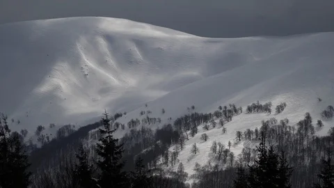 Mountain slopes with pine trees covered with snow in winter. Freeride descent Stock Footage 87828775