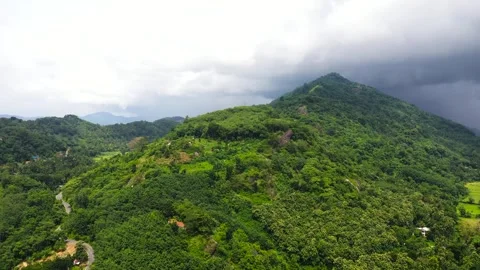 Mountain slopes with rainforest in Sri Lanka. Stock Footage 321715927