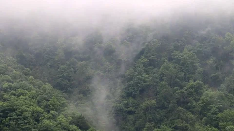 The Mountain Slopes Steaming After The Rain (1) Stock Footage 87454234