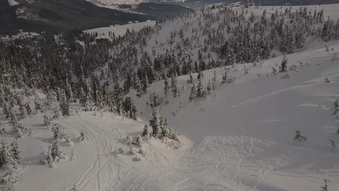 Mountain slopes with trees and snow in winter. Ski resort Dragobrat on the Video stock 86082384