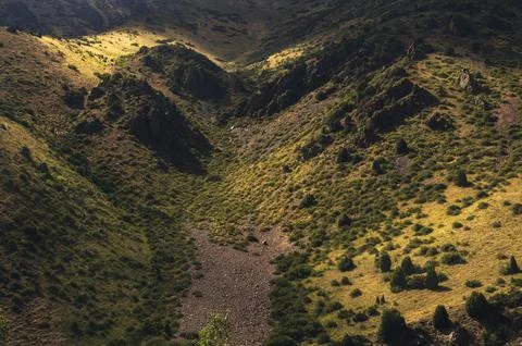 Mountain slopes with trees illuminated by sunset sunlight in summer Stock Photos