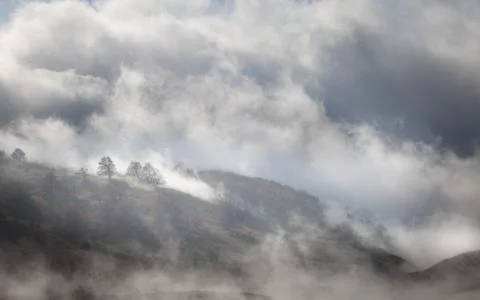 Mountain slopes with trees in the mist Stock Photos