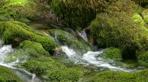 Mountain small river. Stock Footage 401579
