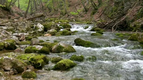 Mountain small river. Stock Footage 401612