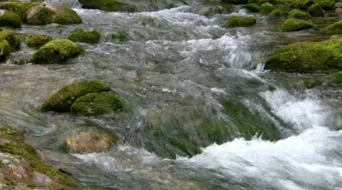 Mountain small river. Видео 477047