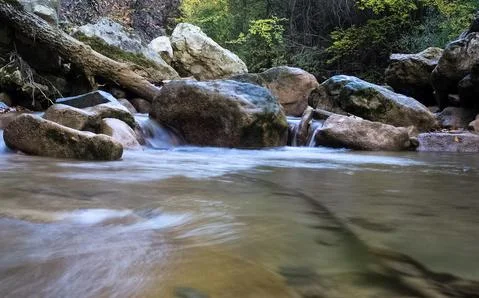 Mountain small river in forest with rapids and waterfalls. A forest creek. Stock Photos