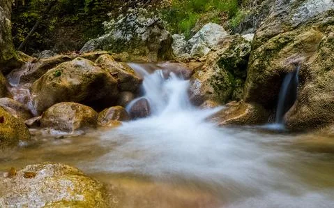 Mountain small river in forest with rapids and waterfalls. A forest creek. Stock Photos