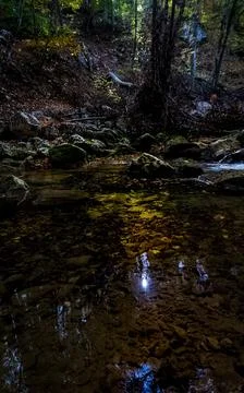 Mountain small river in forest with rapids and waterfalls. A forest creek. Foto stock