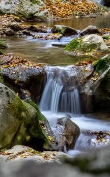 Mountain small river in forest with rapids and waterfalls. A forest creek. Stock Photos