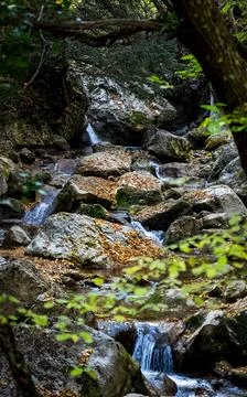 Mountain small river in forest with rapids and waterfalls. A forest creek. Stock Photos