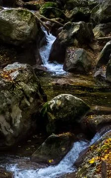 Mountain small river in forest with rapids and waterfalls. A forest creek. Stock Photos