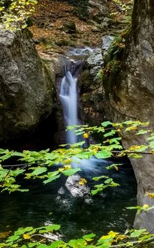 Mountain small river in forest with rapids and waterfalls. A forest creek. Stock Photos
