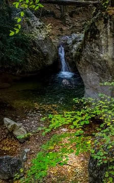 Mountain small river in forest with rapids and waterfalls. A forest creek. Stock Photos
