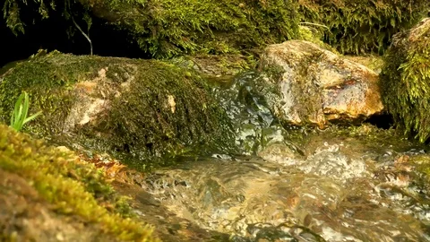 A mountain small stream flowing over rocks overgrown with green thick moss. 動画素材 128142604