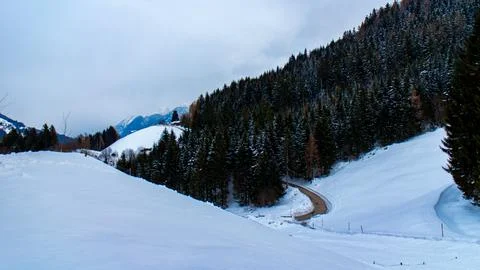 Mountain with snow and trees Foto stock