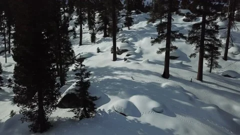 Mountain snow reverse pines Video stock 166329959