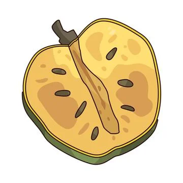 Mountain Soursop illustration Stock Illustration