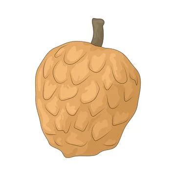 Mountain Soursop illustration Stock Illustration