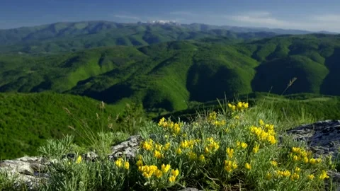 Mountain in the Spring Aerial View Landscape, Green Hills, Yellow Flowers Stock Footage 198573184