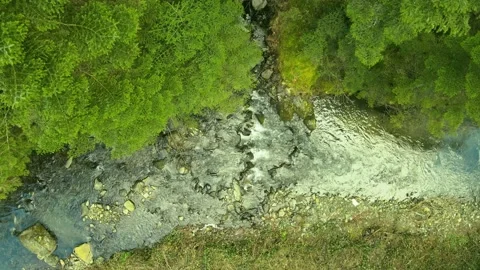 Mountain spring creek Stock Footage 149555666