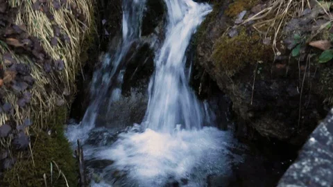 Mountain spring flowing, Pyrenees, Spain Stock Footage 130112534