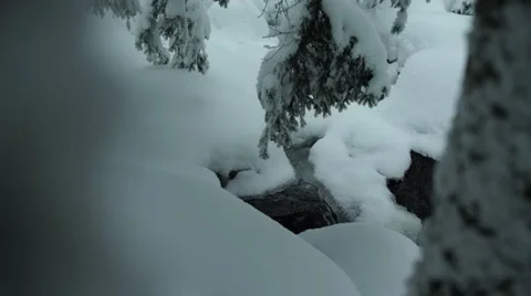 Mountain Spring Flowing in the Snow 4K Stock Footage 59774968