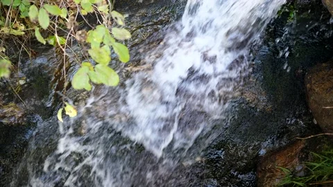 Mountain spring. Flowing water. 库存影片 165758564