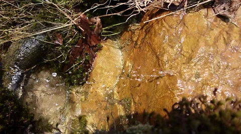Mountain Spring Video stock 2521219