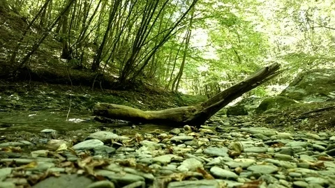 Mountain spring Stock Footage 78503317