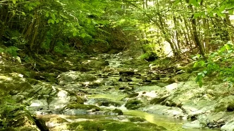 Mountain spring Stock Footage 78503320
