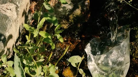 Mountain spring. Stock Footage 138675737
