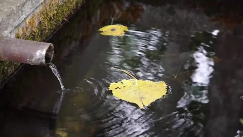 Mountain spring Stock Footage 245319630