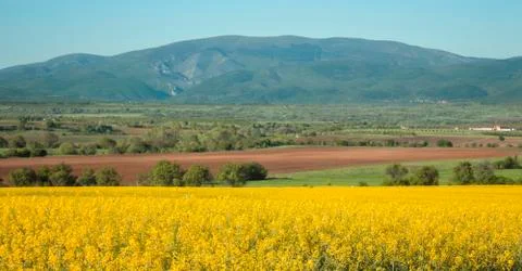 Mountain Spring Landscape. Stock Photos