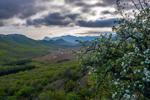 Mountain spring landscape Stock Photos