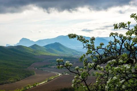 Mountain spring landscape Stock Photos