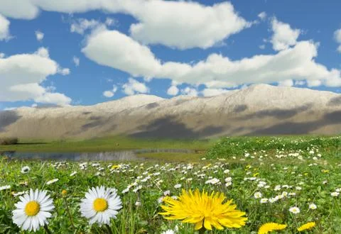 Mountain spring Stock Photos