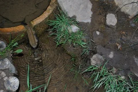  mountain spring Stock Photos
