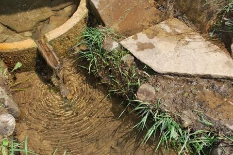  mountain spring Stock Photos