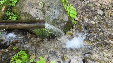 Mountain spring stream with crystal clear water. Abundant clear stream in a Stock Footage 249901667