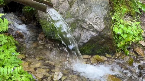 Mountain spring stream with crystal clear water. Abundant clear stream in a Stock Footage 251667878