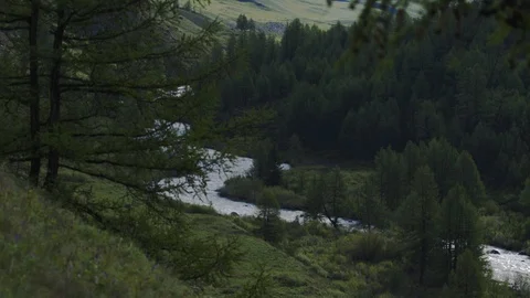 Mountain spring stream is a fast wild river in the forest. 4k Stock Footage 123544015