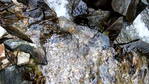 Mountain Spring Stream tracking shot 動画素材 144612860