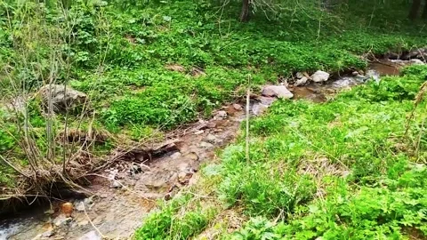 Mountain Spring Stream In A Wild Forest 動画素材 161879023