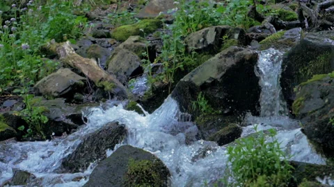 Mountain spring streams flow rapidly along rocky slopes of the mountains in slow Stock Footage 223243106