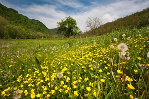 Mountain spring valley 스톡 사진