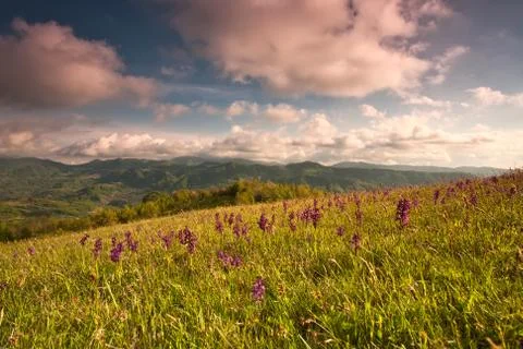 Mountain spring valley Foto stock