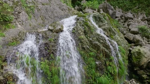 The mountain spring water divides into three small waterfalls Stock Footage 313544176