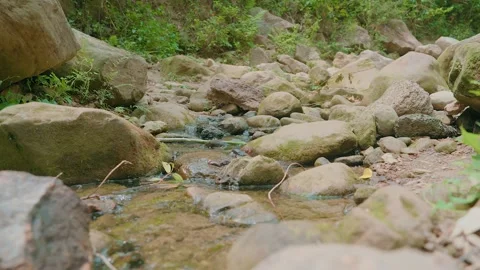 Mountain Spring Water Flowing Over Rocks in Natural Landscape Stock Footage 314676838