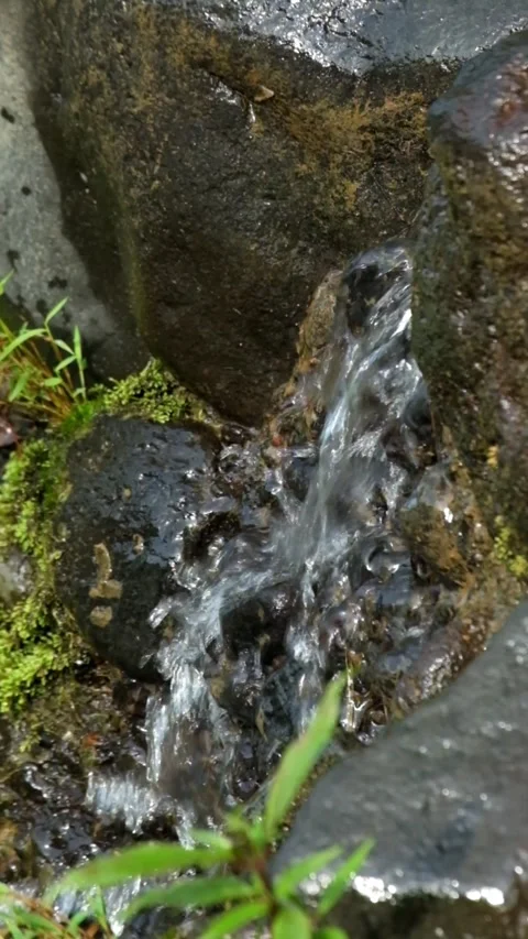 Mountain spring water gushing out from between rocks Stock Footage 320953186